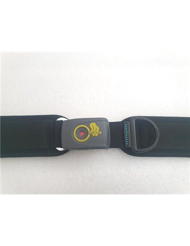 Bodypoint 2 Point Belt, Medium, with Security Cover