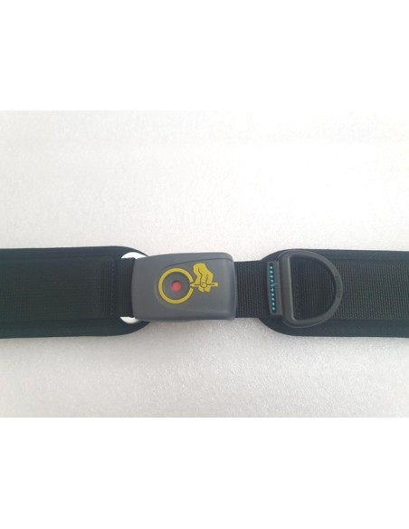 Bodypoint 2 Point Belt, Medium, with Security Cover