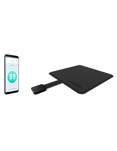 Gaspard Smart Mat and App for Wheelchair Users and Professionals