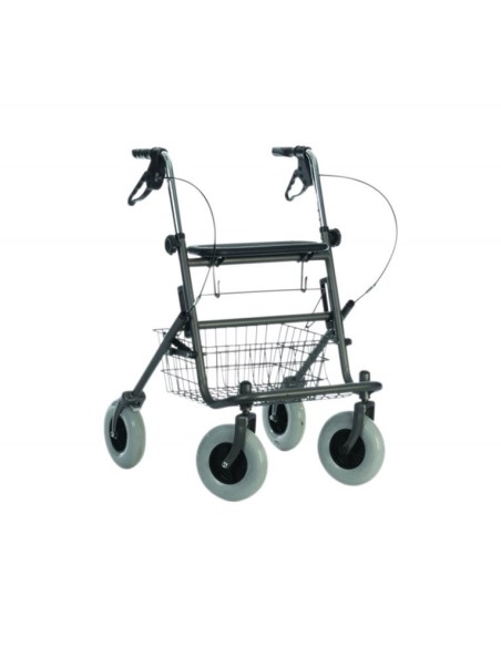 Coopers Rolling Walker 10907C