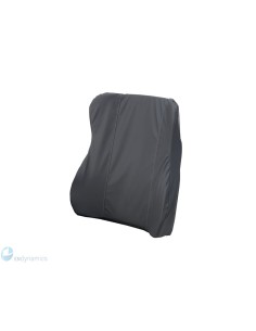 Invacare Passad Backrest Cushion